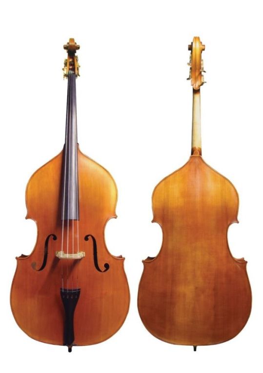 Patina Bass Outfit Model 135