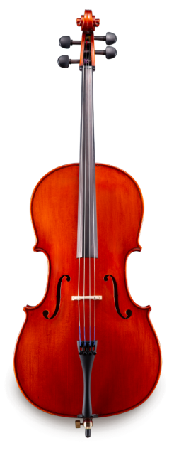 Eastman Strings Model 100 Cello Outfit - Front