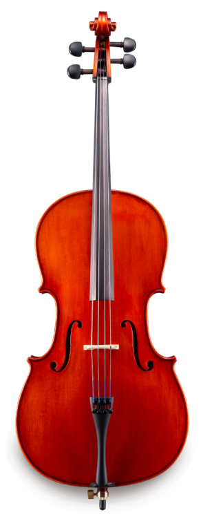 Eastman Strings Model 100 Cello Outfit - Front