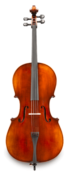 Eastman Strings Model 305- Intermediate Cello